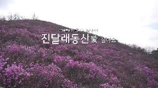 진달래동산愛살아요 제목.JPG